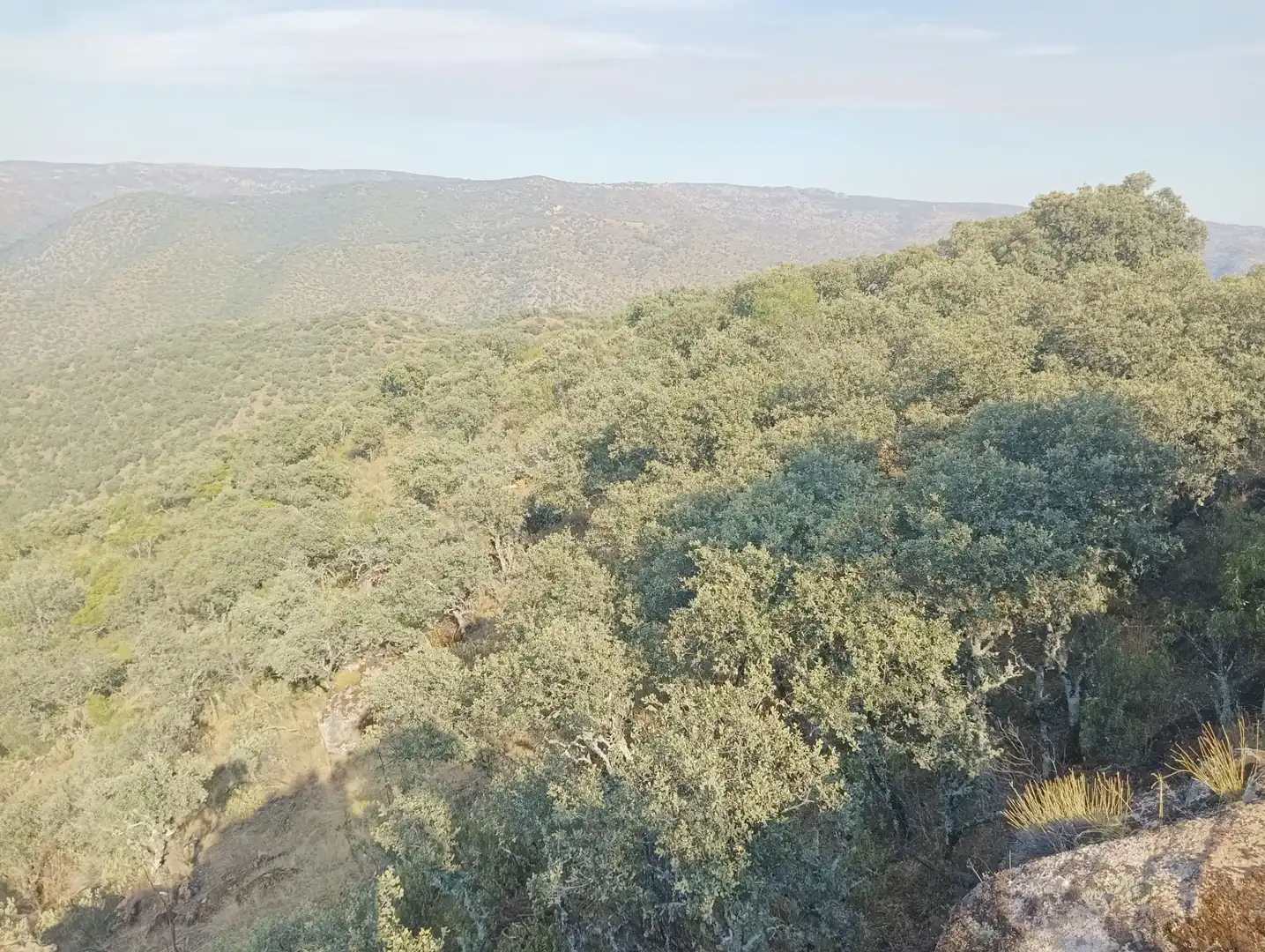 Land for sale in Córdoba