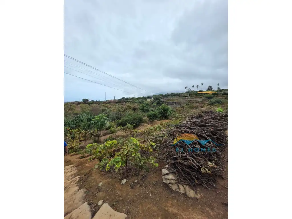 Houses for sale in La Orotava