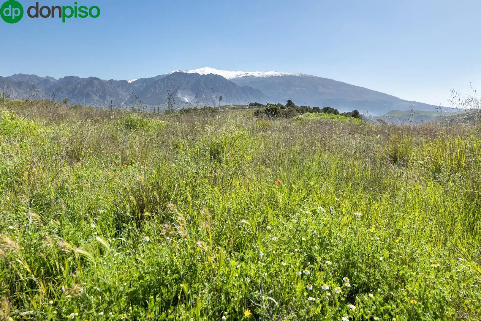 Terreny rústic en venda a tesoro de villamena