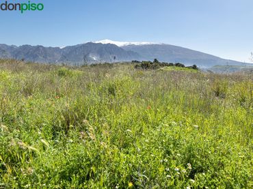 Terreno rustico in vendita a tesoro de villamena