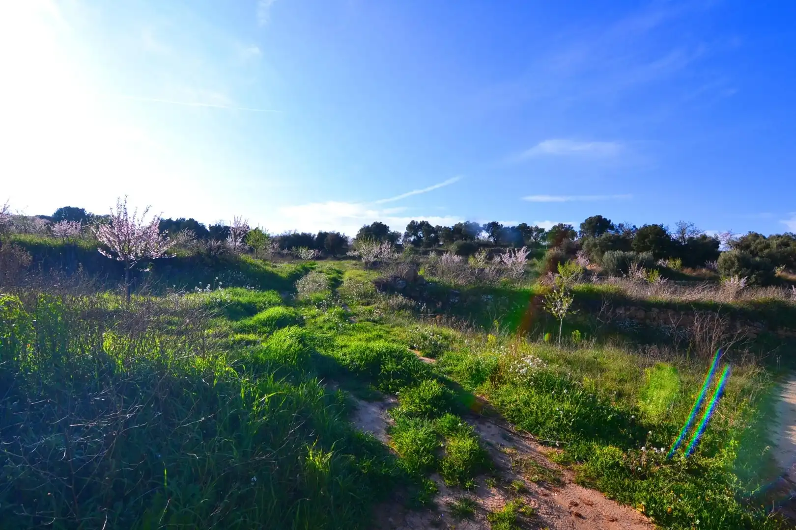 Rural land for sale in Gandesa, imagen 31