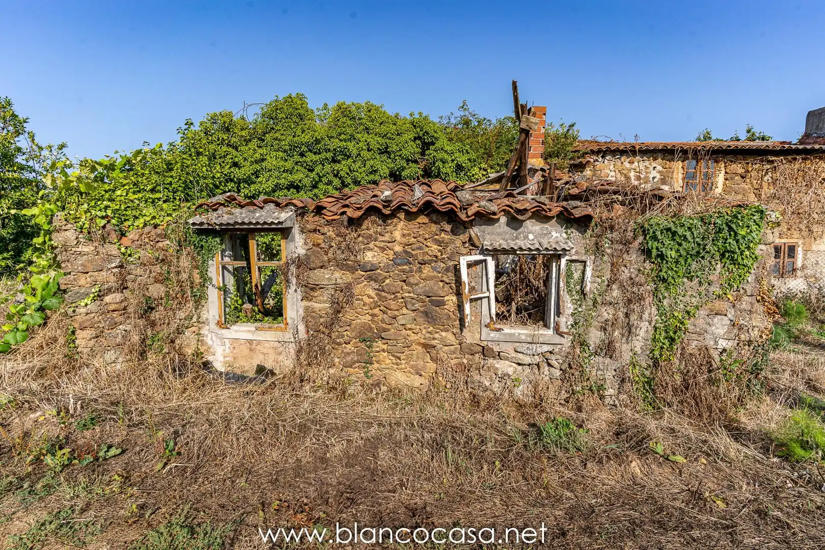 Exterior view of Houses for sale in Carballo  with Private garden