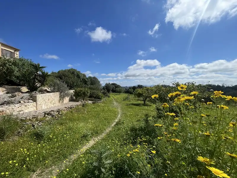 Casa o xalet en venda en Porreres amb Calefacció, Jardí privat i Terrassa