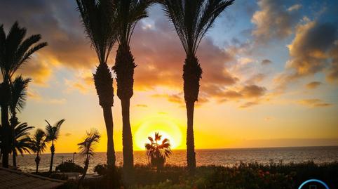 Photo 4 of Houses for sale in Palm - Mar, Arona