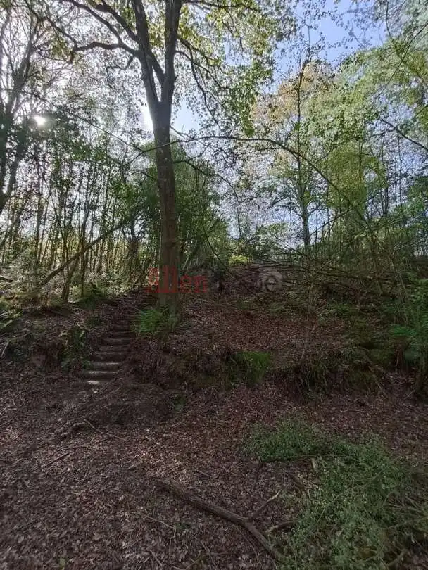 Casa o xalet en venda en Siero