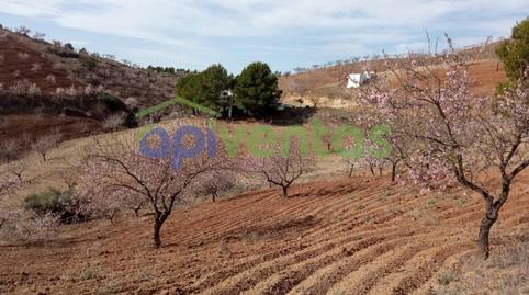 Foto 2 de Finca rústica en venta en Torrecilla, Murcia