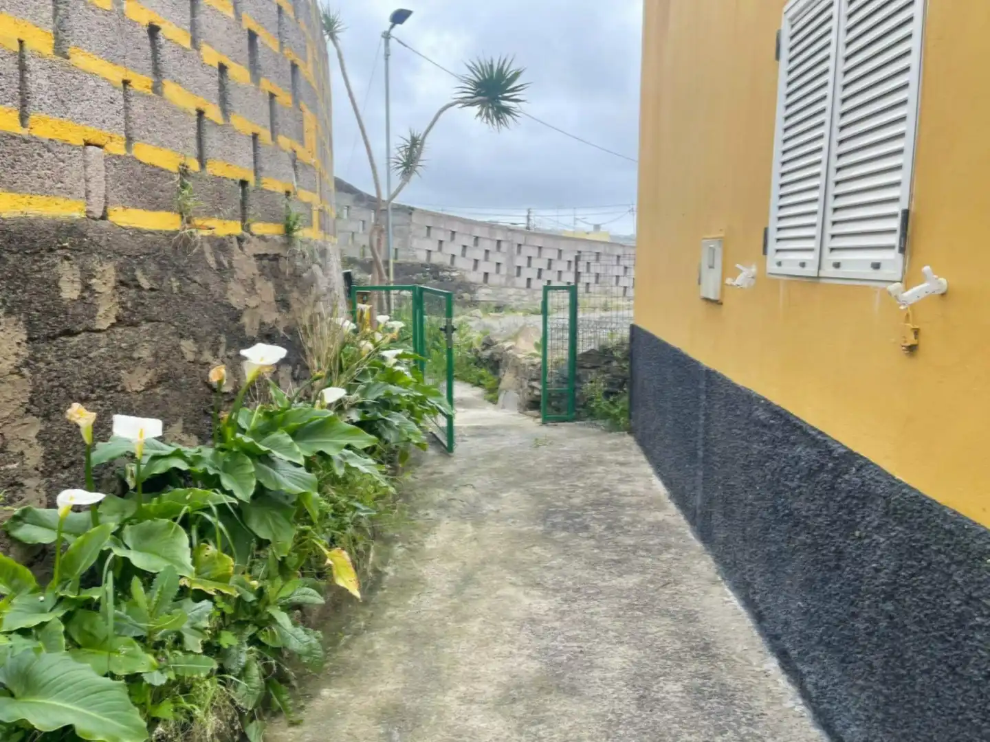 Vista exterior de Casa o xalet en venda en Moya (Las Palmas) amb Traster