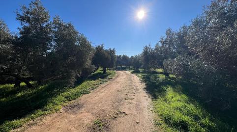 Photo 4 of Country house for sale in Centro, Málaga
