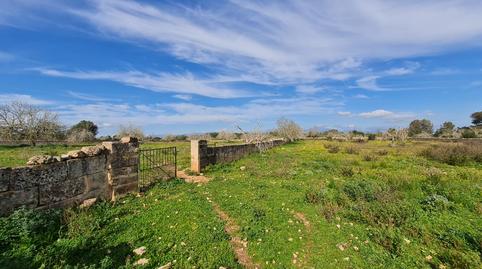 Photo 5 of Country house for sale in Algaida, Illes Balears
