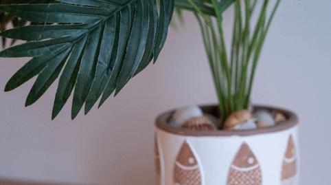 Foto 2 de Estudi en venda a El Bajondillo, Málaga