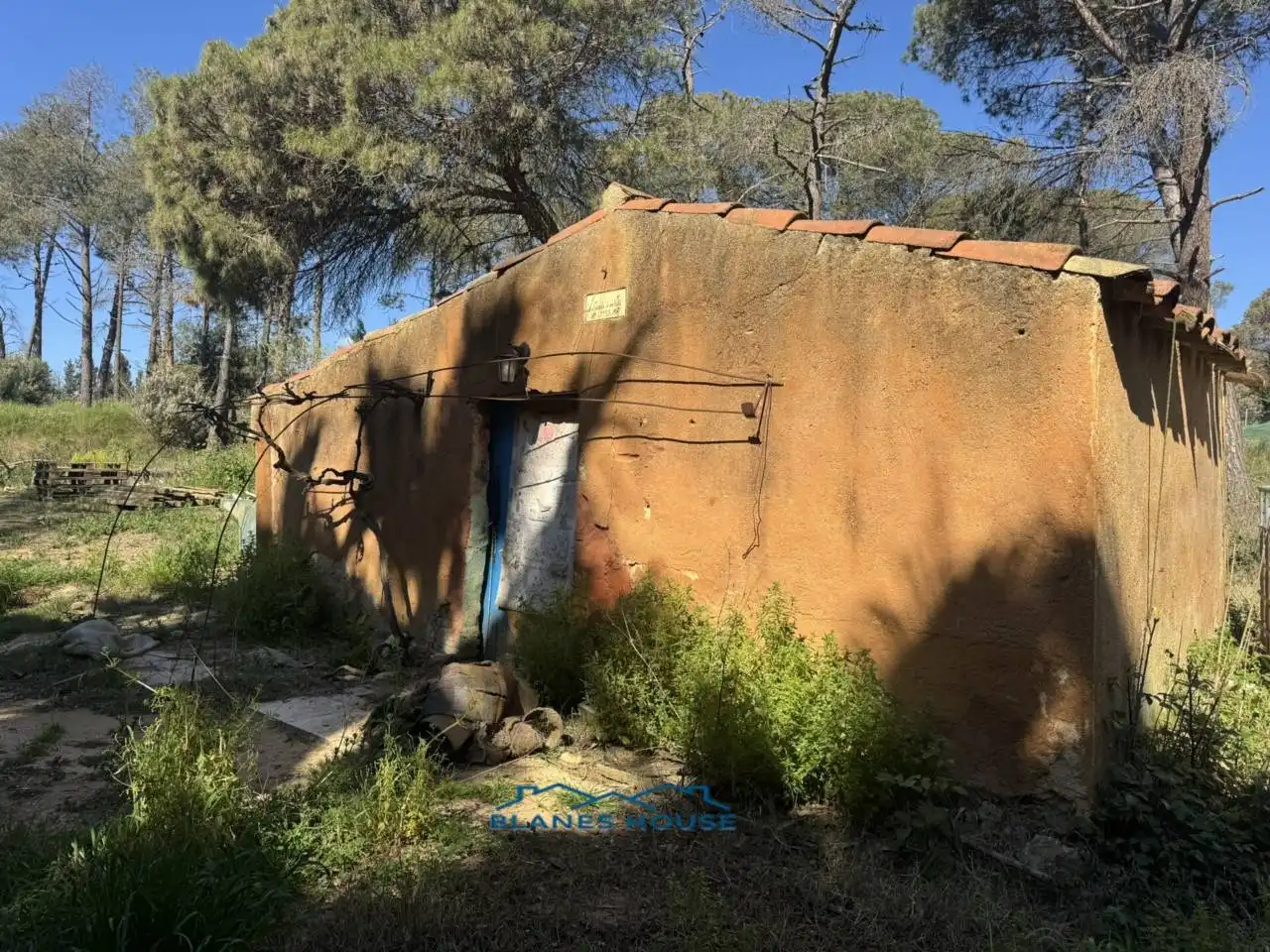 Terreno rustico in vendita a Calle Bosch Rabasa 1, imagen 6