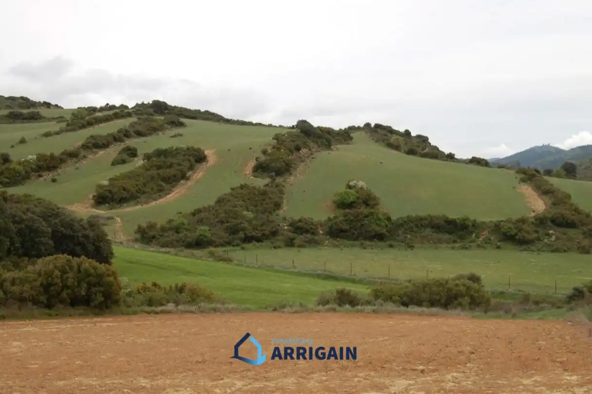 Casa o chalet en venta en La Moraleja con Jardín privado
