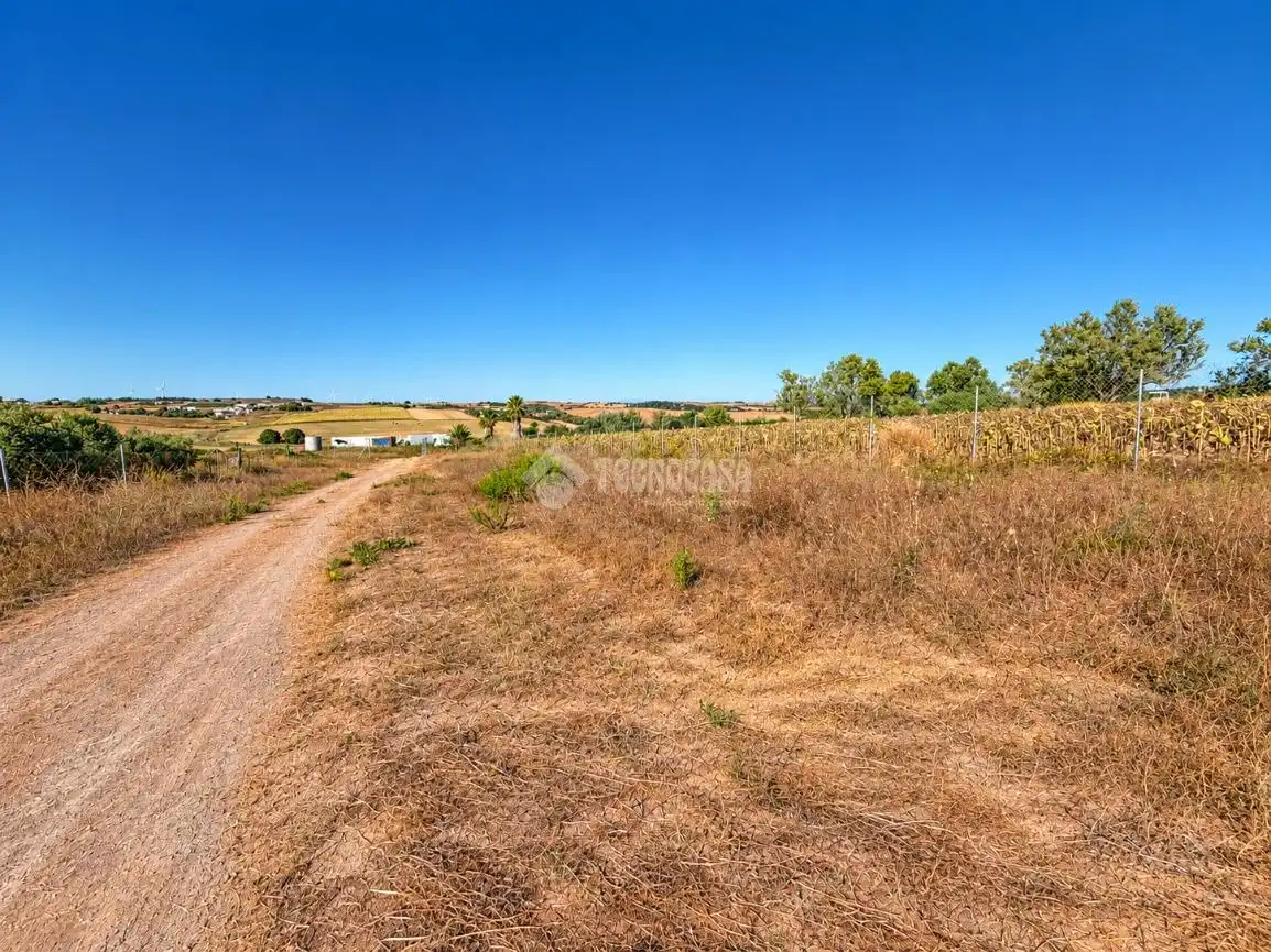 Rural land for sale in Los Franceses – La Vega, imagen 15