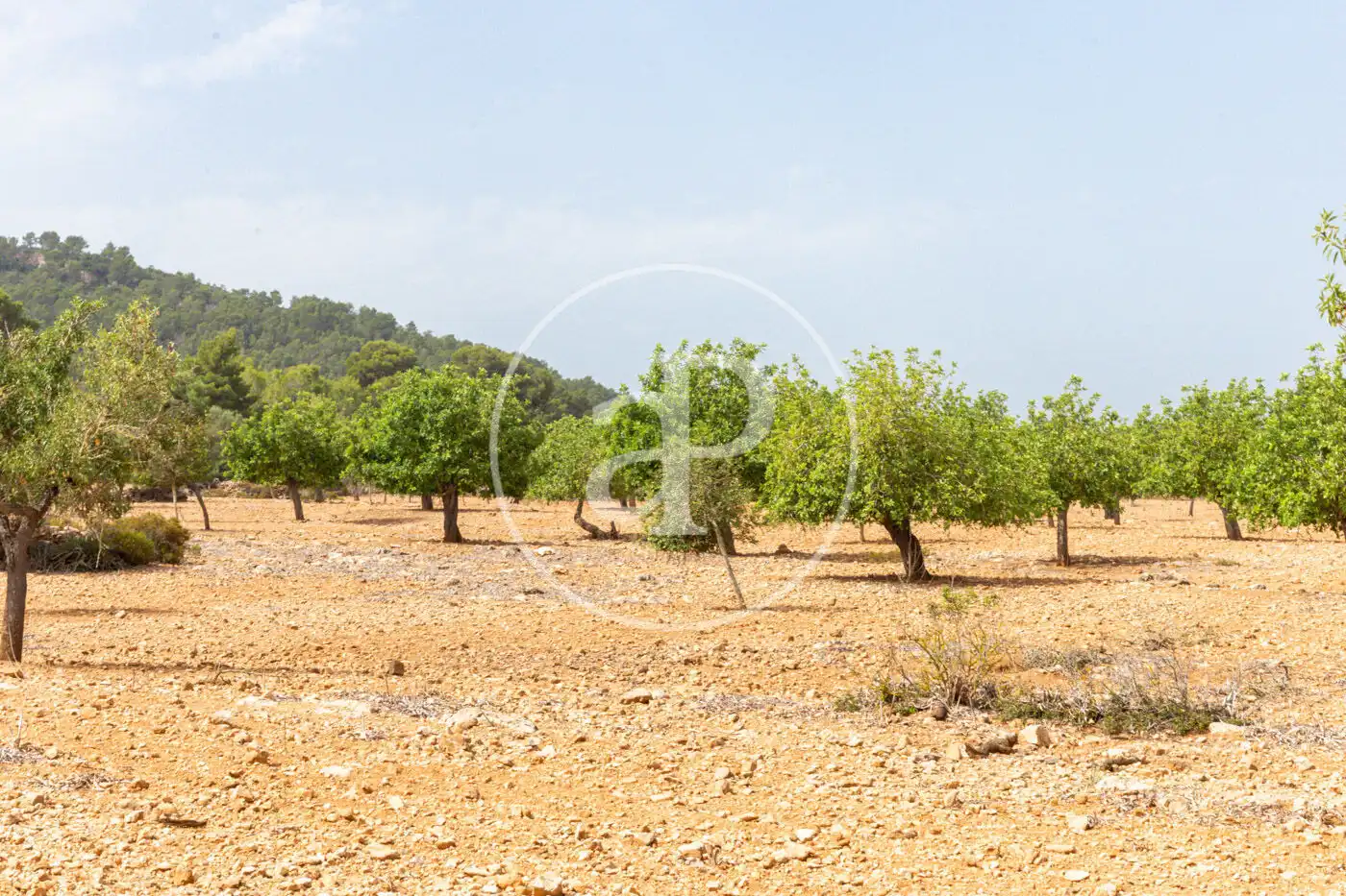 Residencial en venta en Manacor