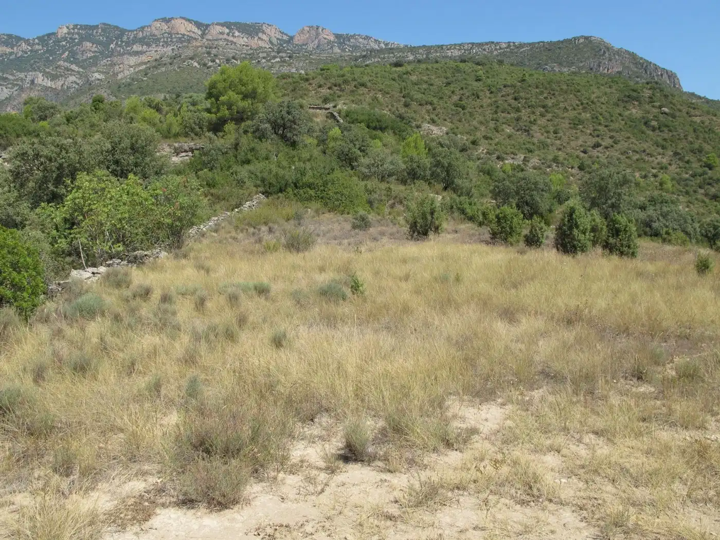 Terreno rustico in vendita a Àger, imagen 15