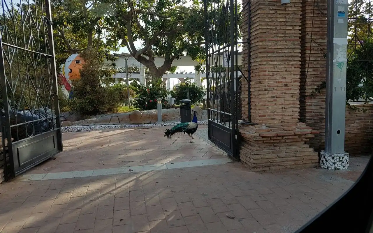 Vista exterior de Apartamento en venta en Oropesa del Mar / Orpesa con Calefacción, Terraza y Amueblado
