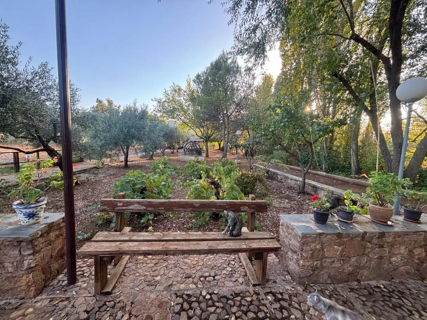 Residencial en venda a Malagón