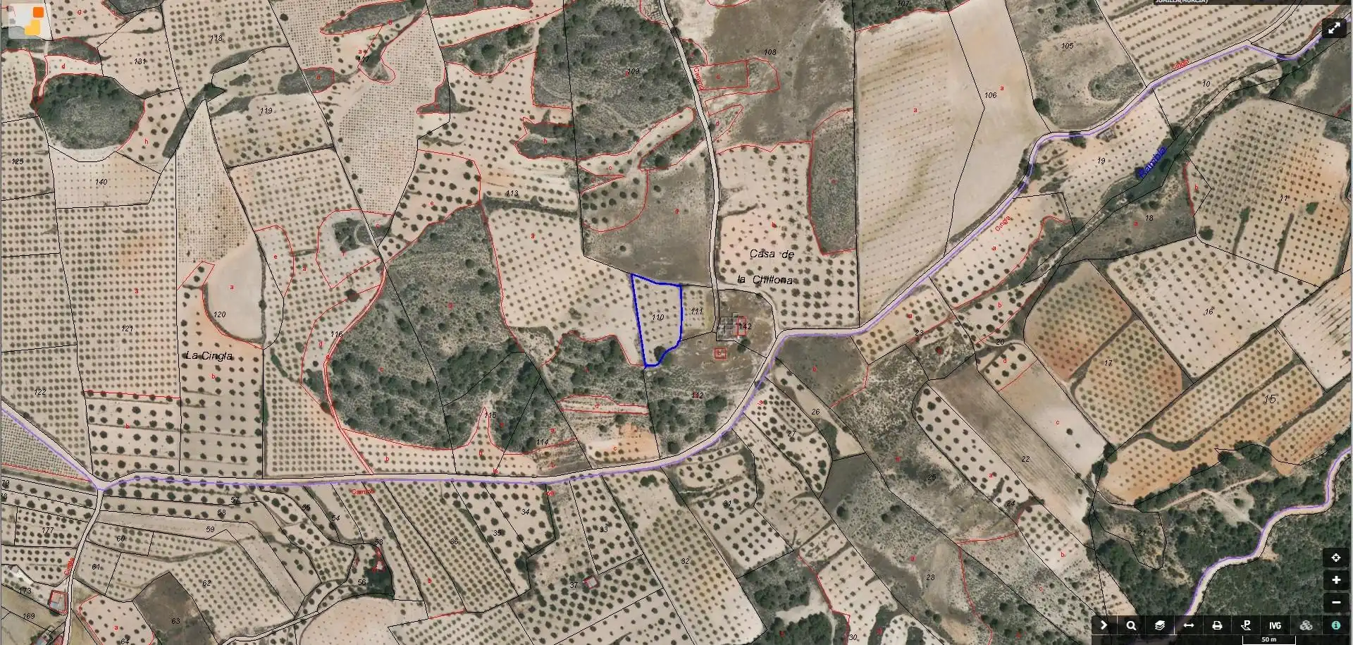 Rural land for sale in Jumilla
