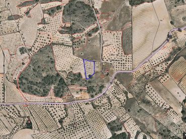 Terreno rustico in vendita a Jumilla