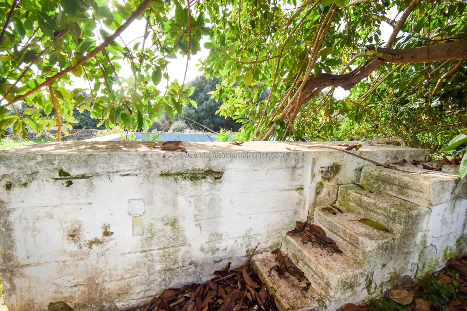 Landhaus mit Garten zum Verkauf in Cala d'en Bosch - Serpentona, imagen 19