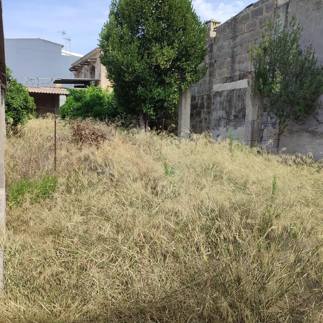 Terreny residencial en venda a Carrer de Bonany 8, imagen 12