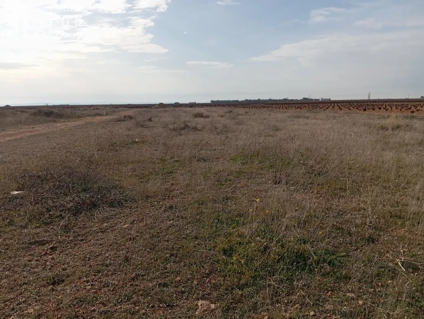 Terreny residencial en venda a Socuéllamos, imagen 3