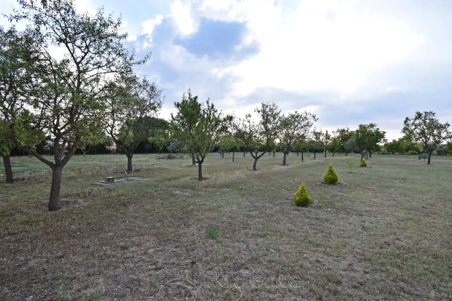 Finca rústica en venda en Matapozuelos