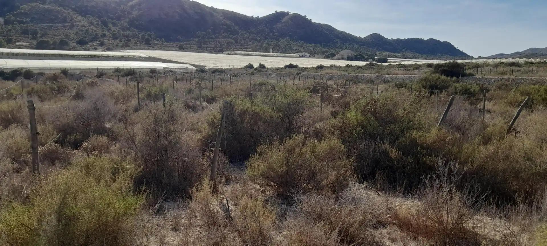 Terreny residencial en venda a Novelda, imagen 16