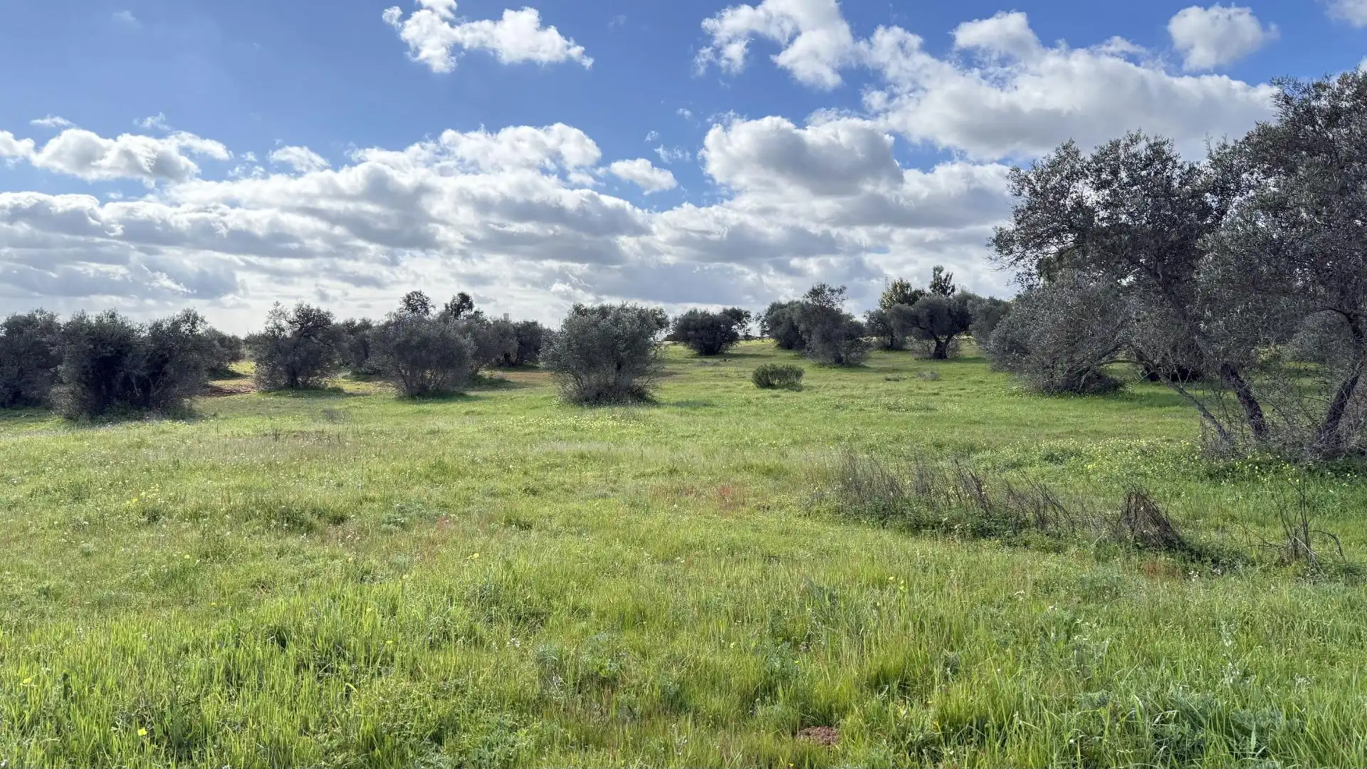 Country homes for sale in Gibraleón