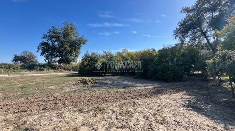 Foto 3 de Finca rústica en venda a Puente Genil, Córdoba