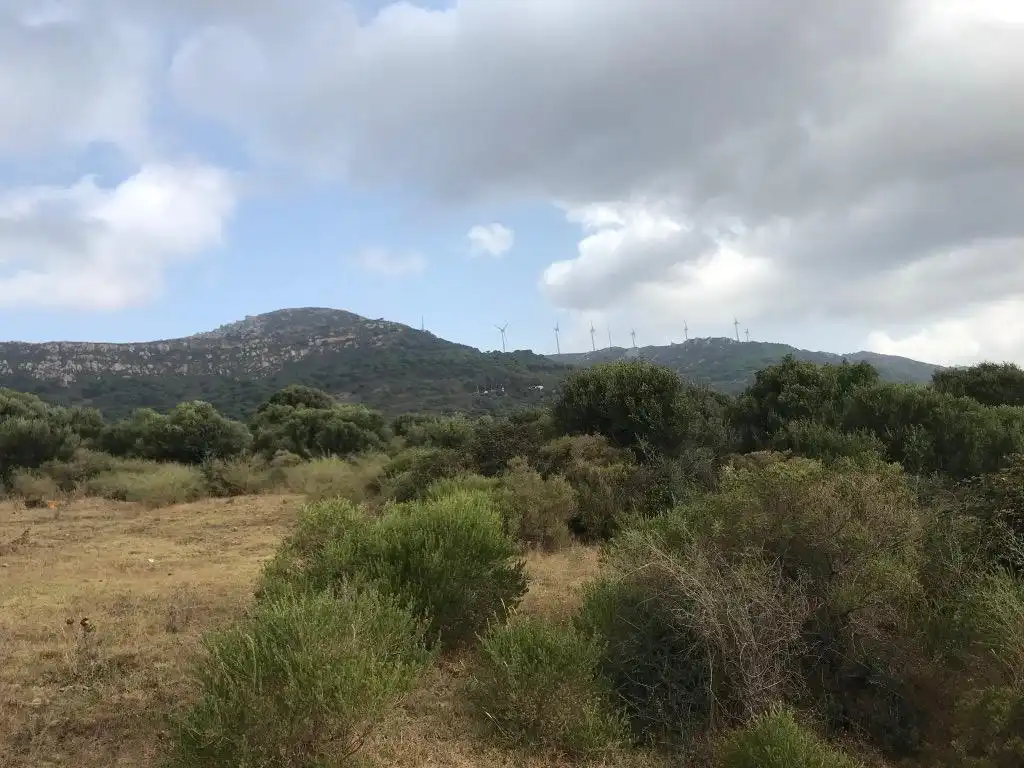 Terreny rústic en venda a Calle Dehesa de la Peña 18, imagen 7