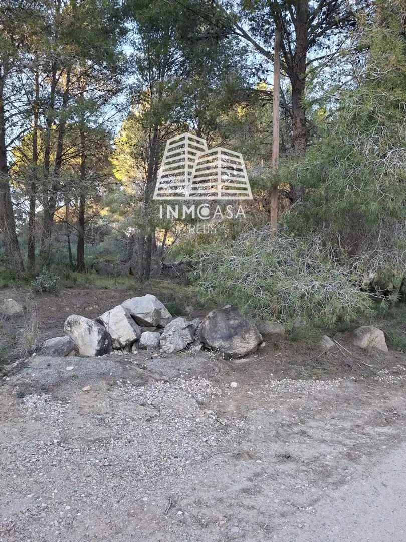 Land for sale in Les Borges del Camp