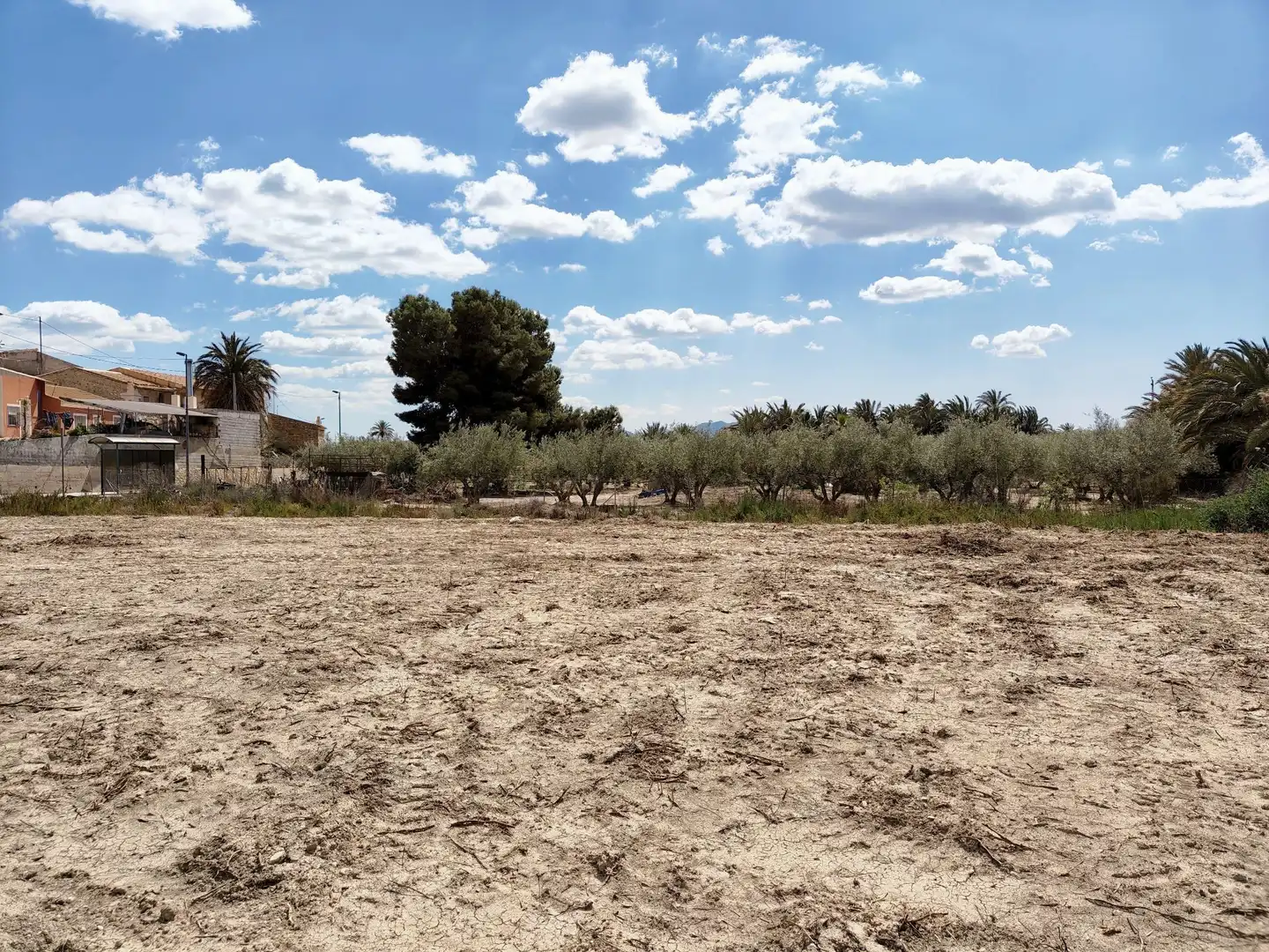 Lands and plots for sale in Abanilla, imagen 5