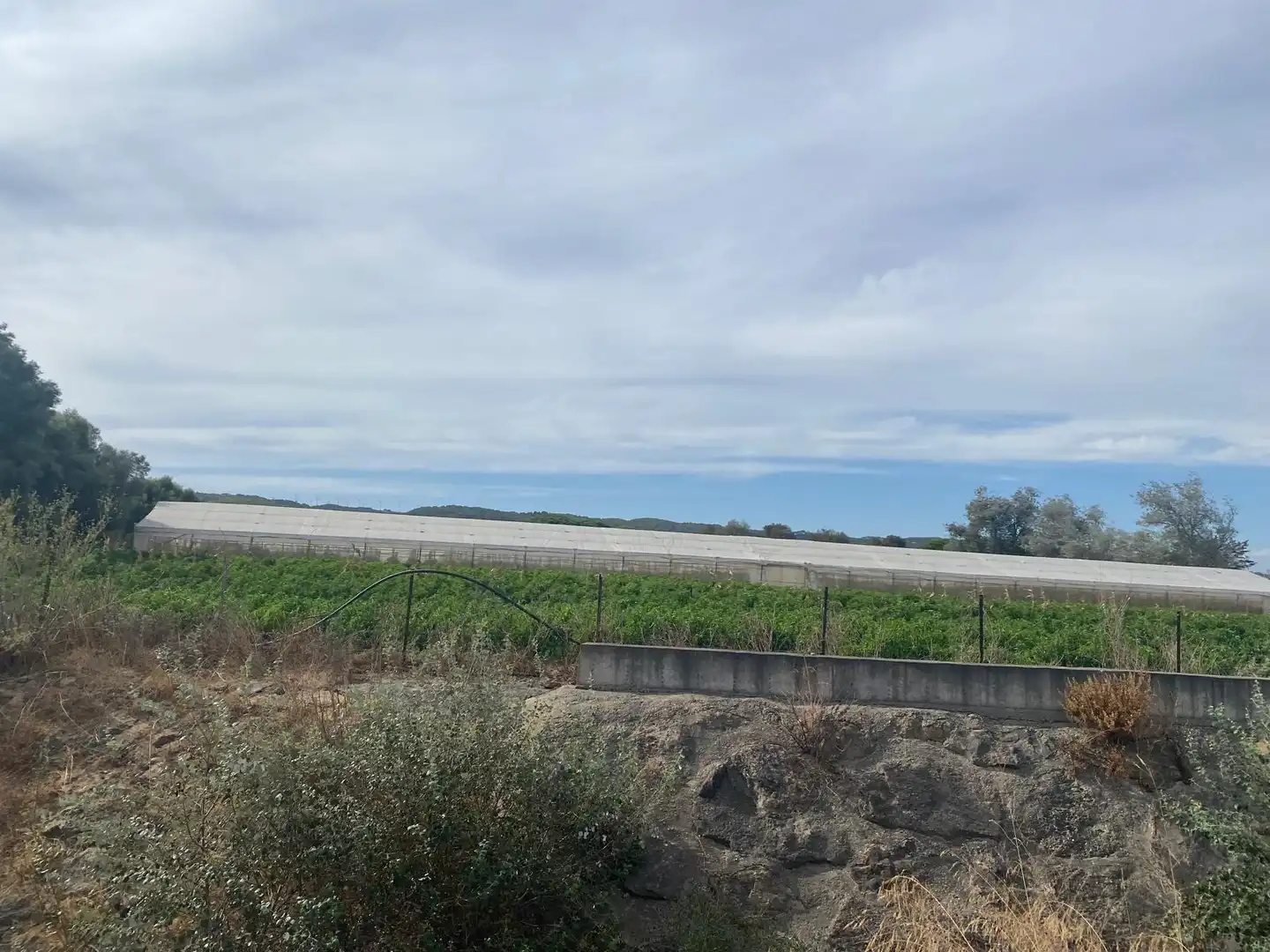 Terreno rustico in vendita a Barbate ciudad, imagen 9