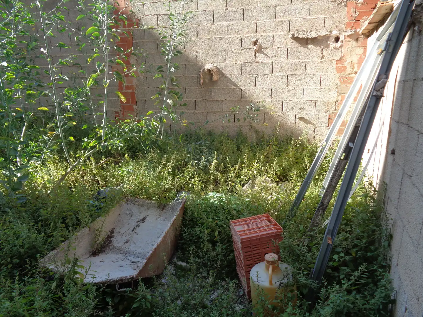 Terreno residenziale in vendita a Algemesí, imagen 3