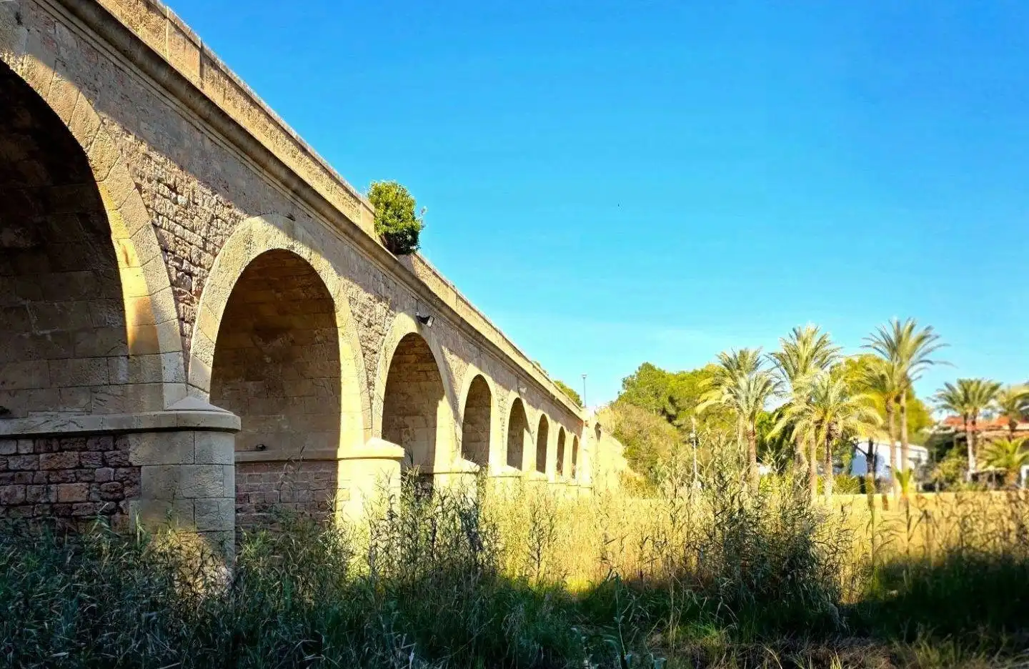 Vista exterior de Finca rústica en venda en Orihuela amb Jardí privat, Piscina i Piscina comunitària