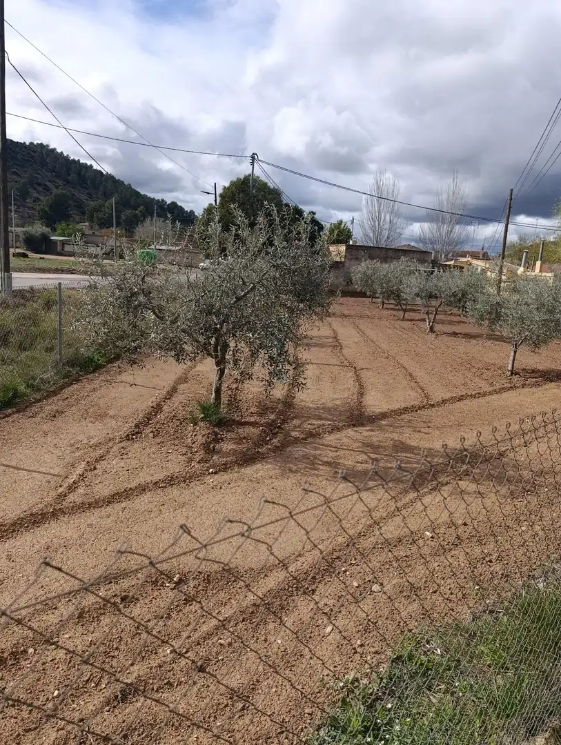 Grundstücke und Bauplätze zum Verkauf in Cehegín, imagen 5