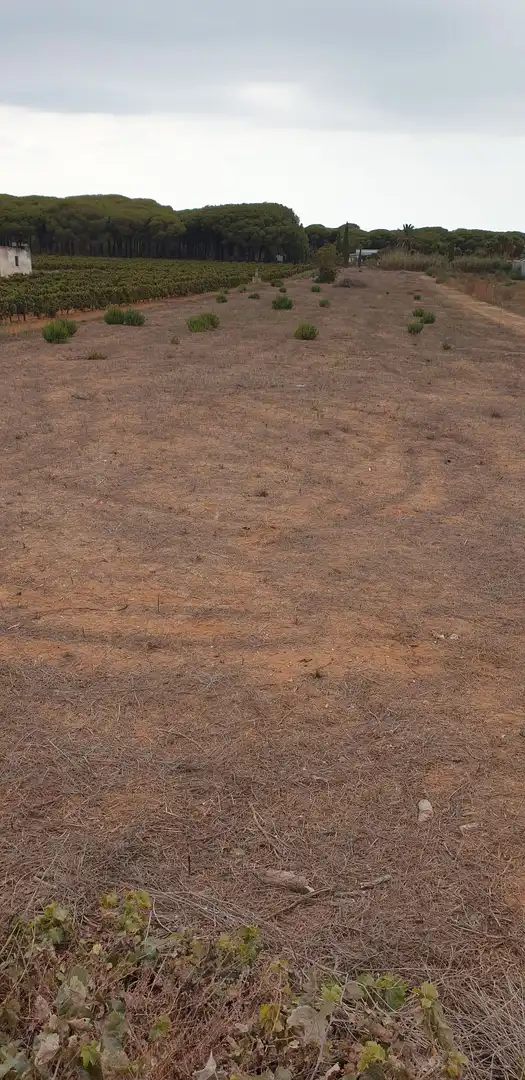 Terrenys i solars en venda a Las Lagunas - Campano, imagen 6