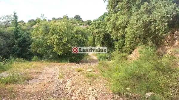 Residencial en venta en Guadalajara