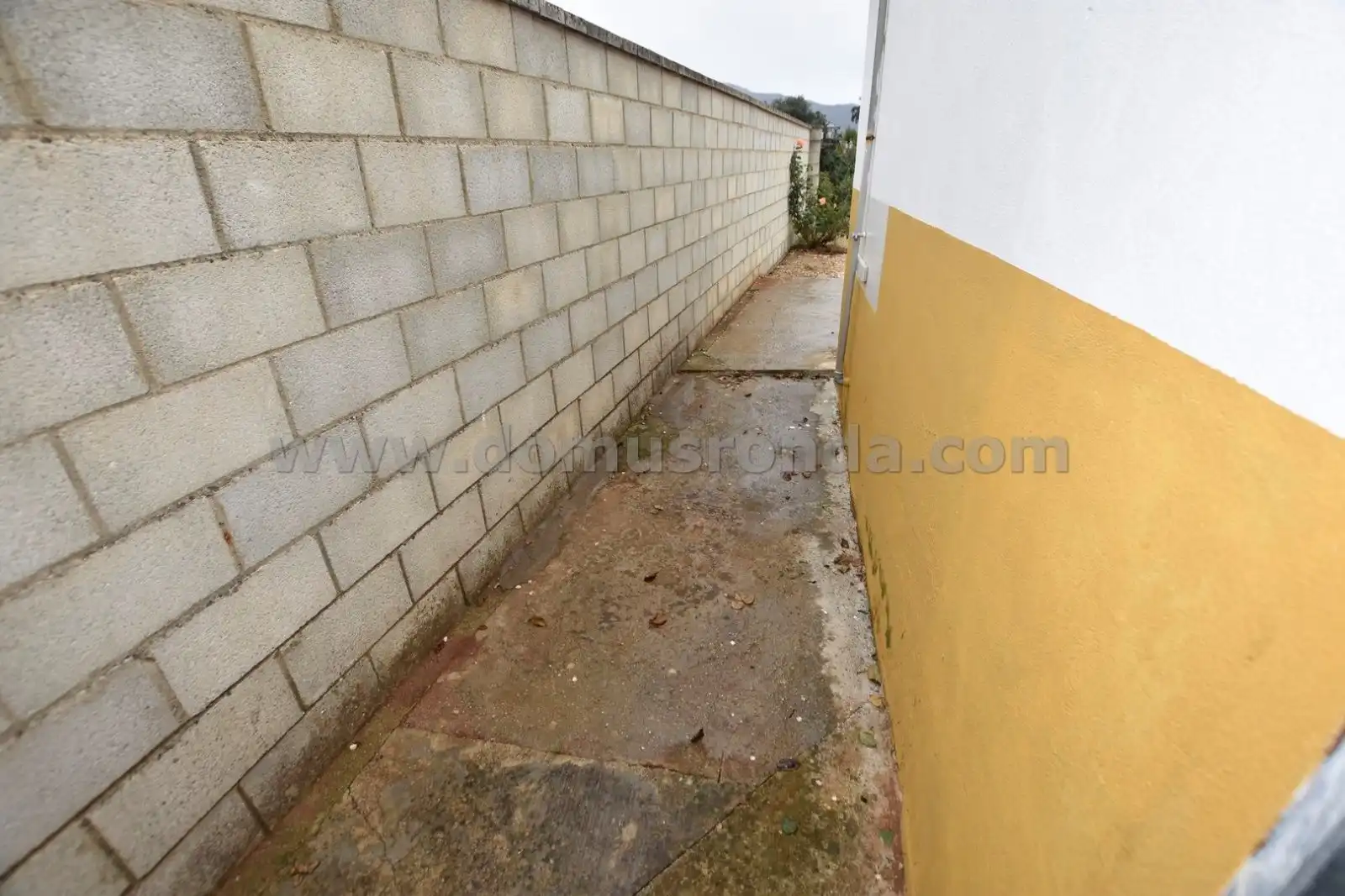 Casa rústica con piscina en venta en Partidas Norte, imagen 30