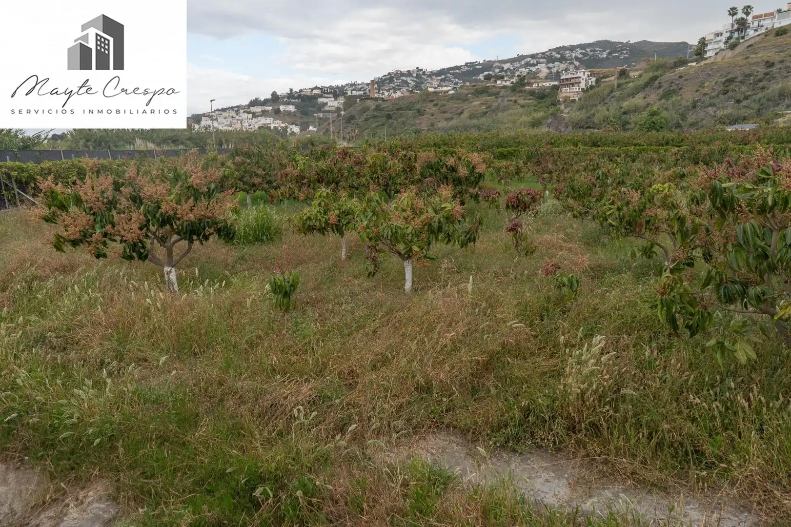 Terreni e lotti in vendita a CARRETERA MALAGA (CAL) 74, imagen 24