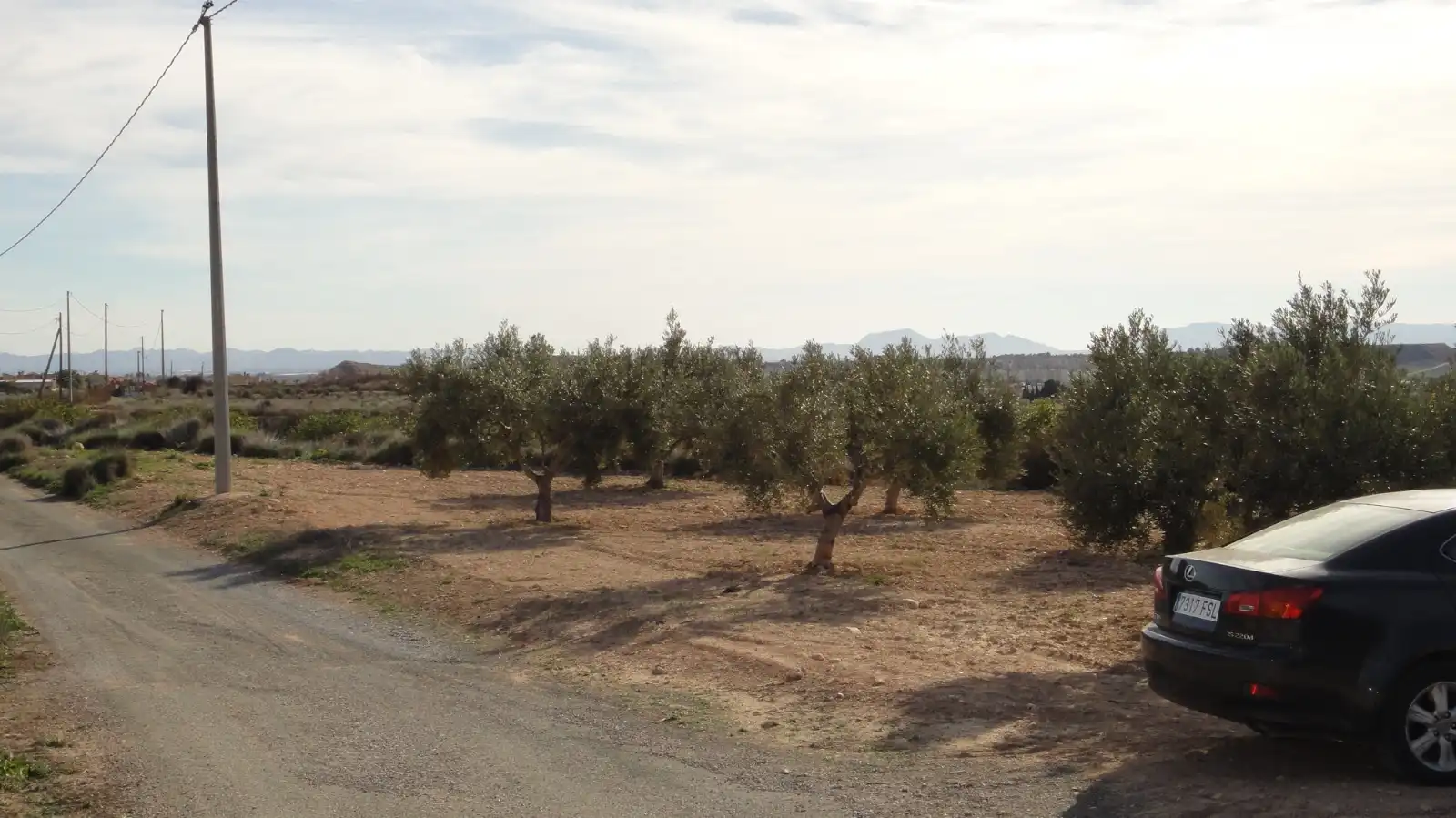 Terreno rustico in vendita a Campo de Murcia