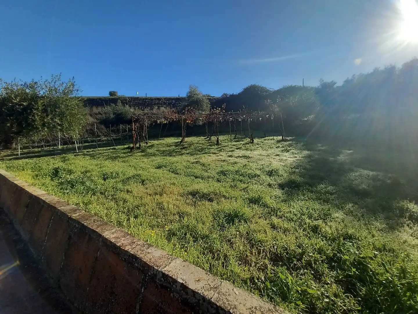 Finca rústica en venda a Partidas Norte
