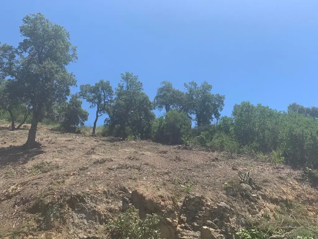 Lands and plots for sale in Riudarenes, imagen 5