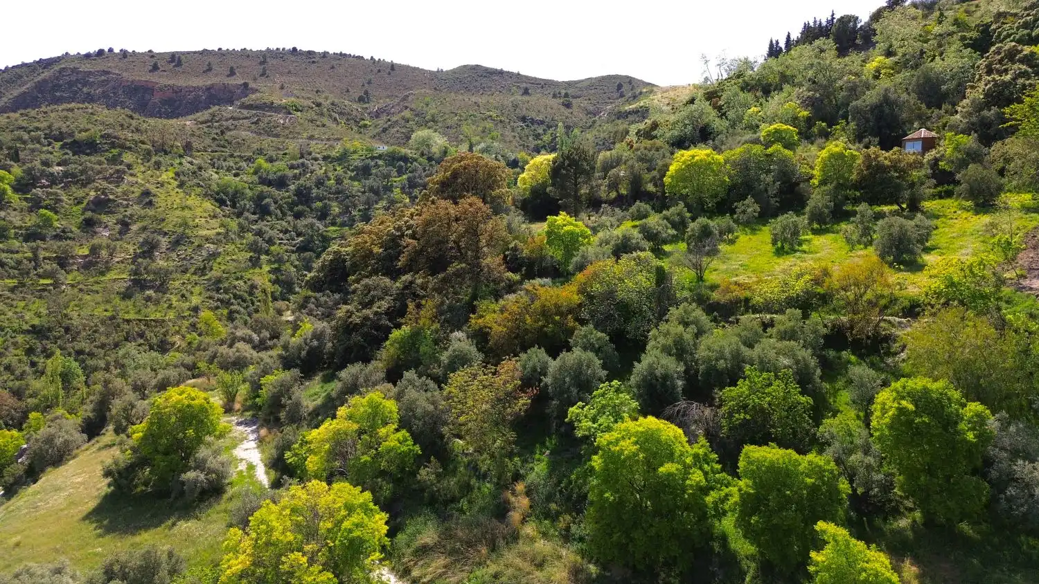 Casa o xalet en venda en Soportújar amb Terrassa