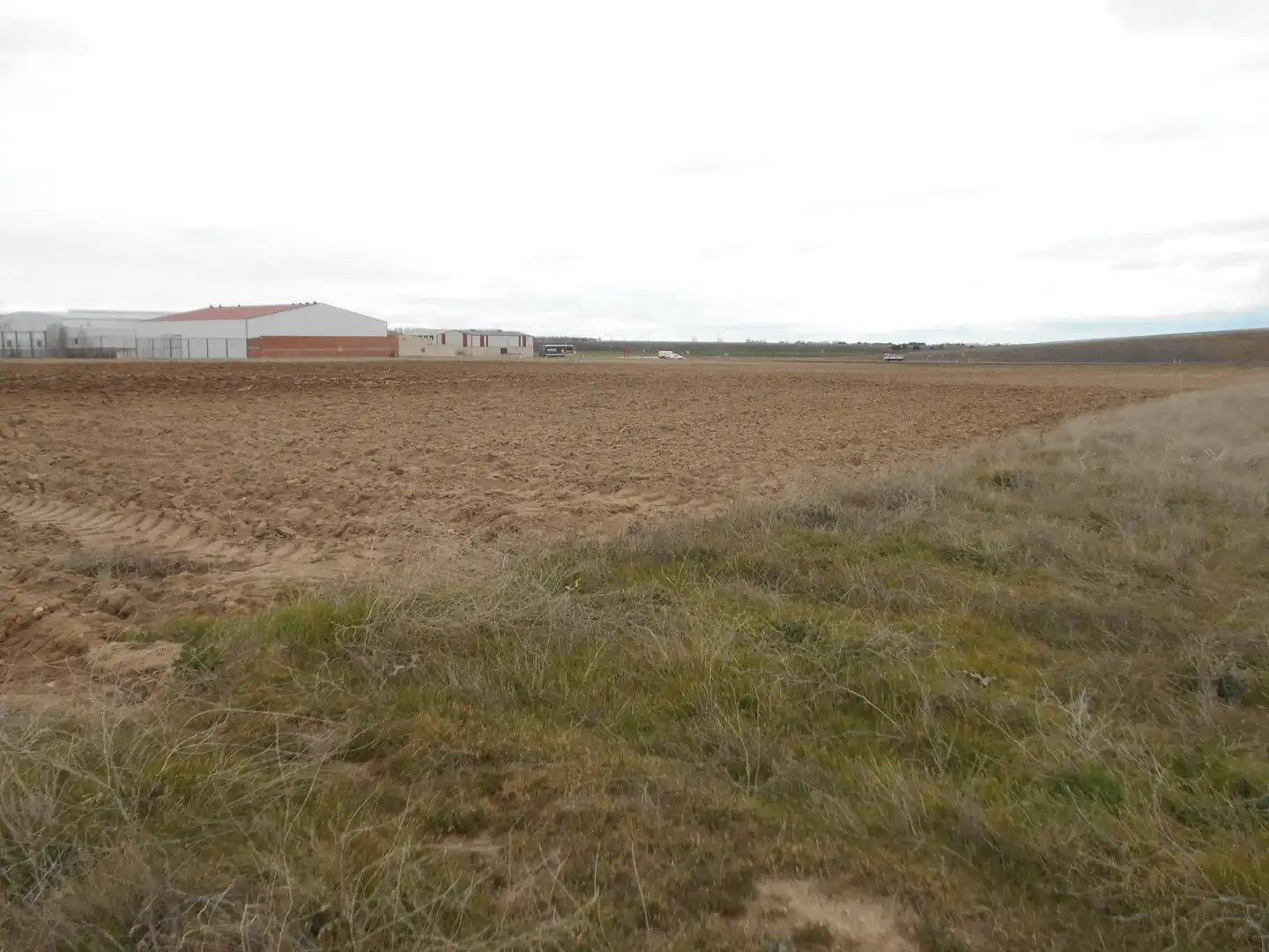Land for sale in San Pedro del Arroyo