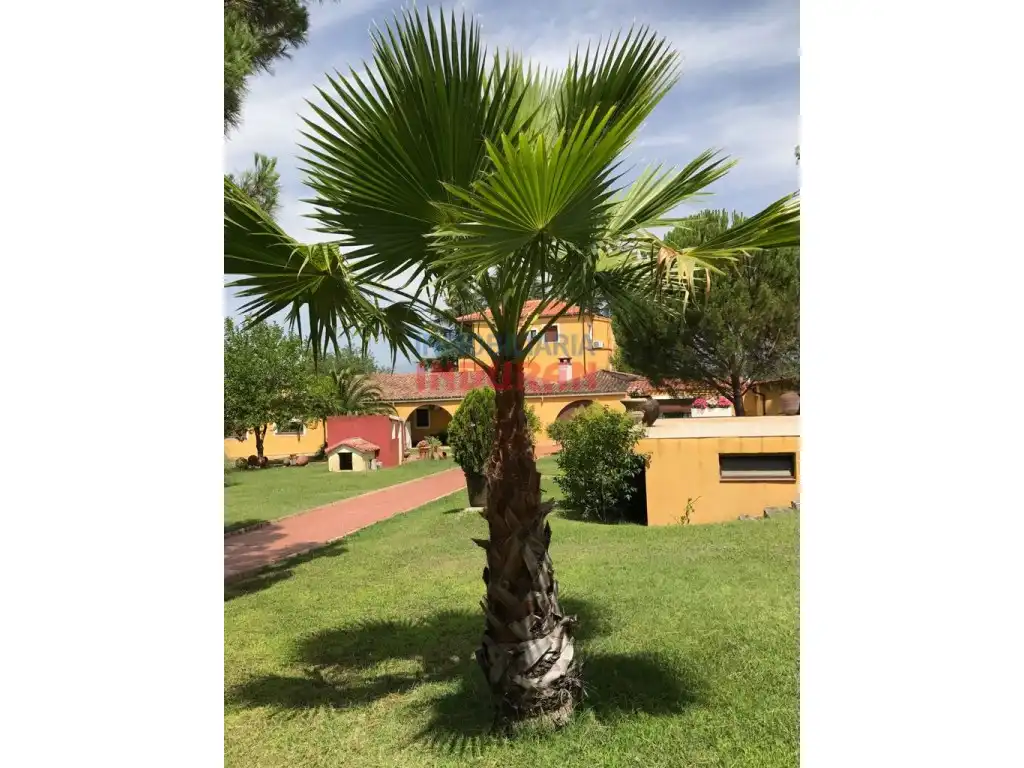 Jardín de Finca rústica en venta en Parrillas