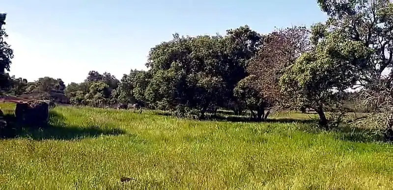 Terreni e lotti in vendita a Aldea del Cano, imagen 4