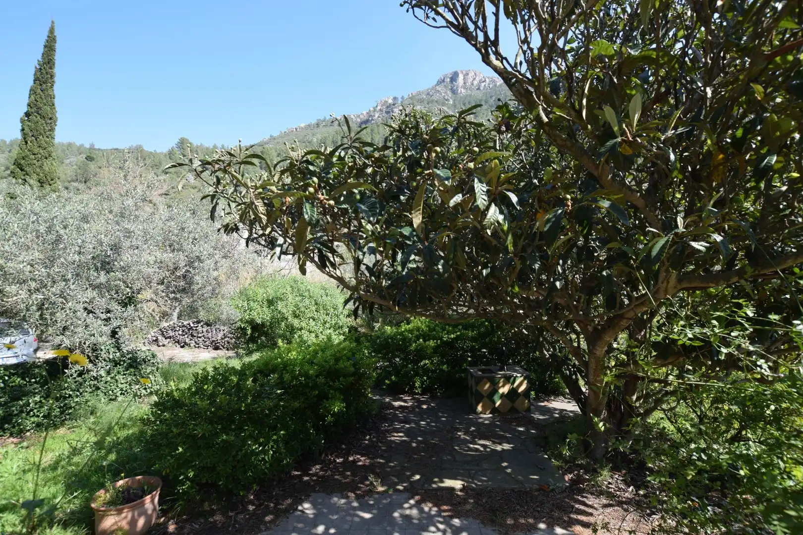 Jardí de Casa o xalet en venda en Alfara de Carles amb Terrassa, Traster i Piscina