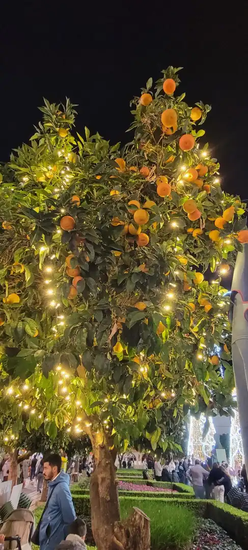 Àtic amb ascensor en venda a Marbella Centro, imagen 27